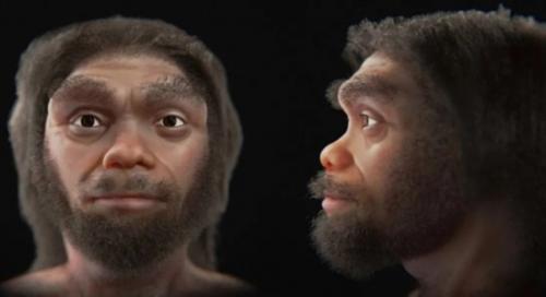 Phục dựng gương mặt Người Rồng 146.000 năm tuổi, sở hữu dung mạo kỳ lạ với kích thước đầu khổng lồ