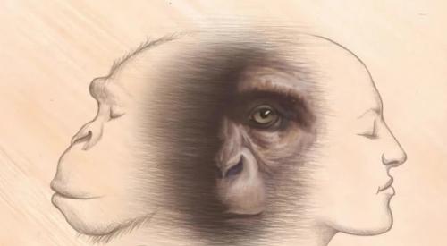 Có một khoảng trống 130.000 năm trong lịch sử tiến hóa của loài người, vậy trong thời kỳ này đã xảy ra chuyện gì?