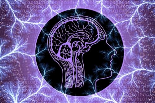 Tại sao một nhà khoa học thiên tài lại cho rằng ý thức của chúng ta bắt nguồn từ cấp độ lượng tử?