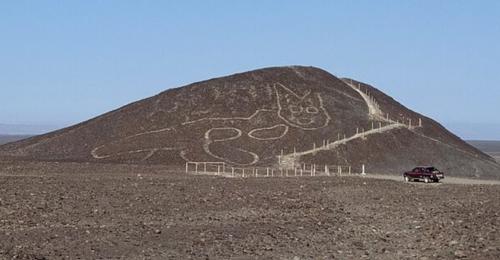 Phát hiện hình vẽ mèo khổng lồ 2.000 năm tuổi ở Peru!