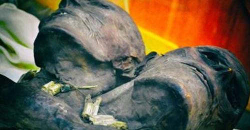 Câu chuyện về người khổng lồ hai đầu Kap Dwa có thật không?