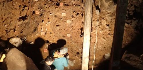 DNA trầm tích tiết lộ lịch sử 300.000 năm của người cổ đại và hiện đại ở Siberia!