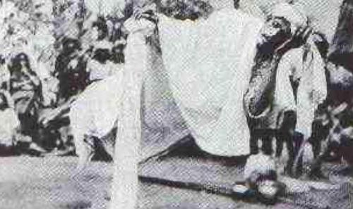 Người bay có thật: 200 trường hợp thực tế và giải mã