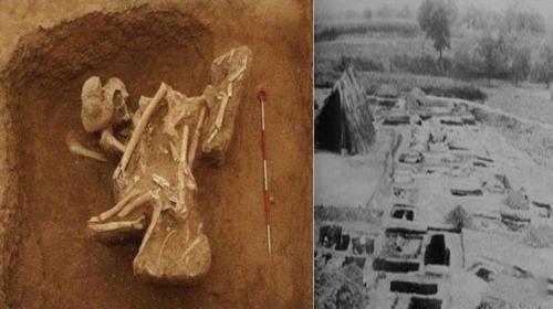 Ngôi mộ cổ tiết lộ bí mật cái c.h.ế.t của 32 người con của Tần Thủy Hoàng