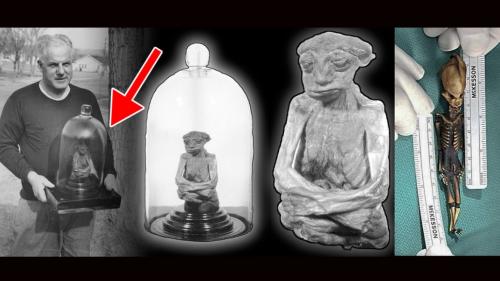 Các nhà khoa học nghiên cứu về người tí hon, không chỉ là truyền thuyết