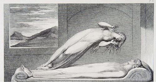 Phương trình thú vị giữa Khoa học và Linh hồn