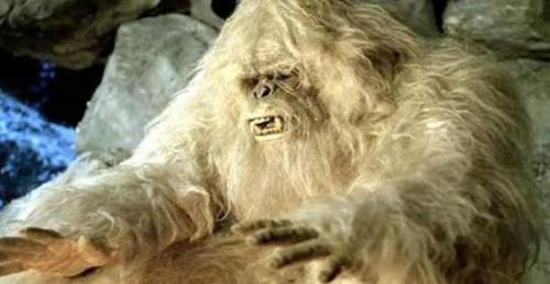 Vén màn bí ẩn hơn một thế kỉ về người Tuyết