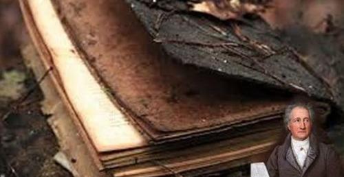 Chuyện k.i.n.h hoàng về cuốn sách g/i/ế/t người: Làn sóng t/ự t/ử vì đọc sách