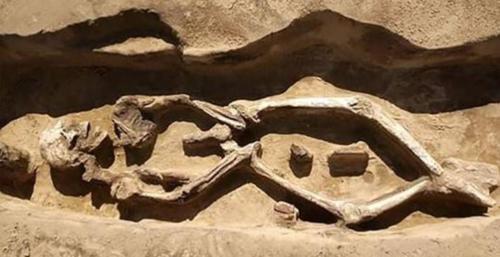 Bí ẩn bộ xương 1300 tuổi kỳ lạ chưa từng thấy
