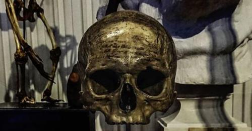 Bí ẩn vụ trộm hộp sọ René Descartes: Hài cốt của ông đã ở đâu sau hơn 300 năm lưu lạc?