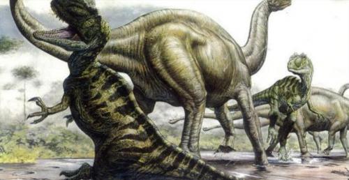 Lần tuyệt chủng thứ 6 có thể bắt đầu Liệu chúng ta có quá muộn?