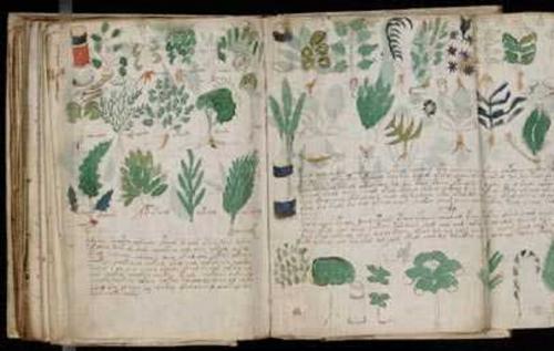 Giải mã thành công bản thảo bí ẩn nhất lịch sử nhân loại?