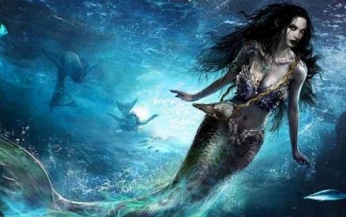 Người cá có thật ?