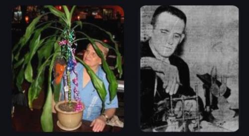 Thực vật biết nói, đọc suy nghĩ, còn ghi nhớ mối thù