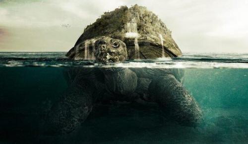 Rùa khổng lồ cao bằng nhà 3 tầng xuất hiện trên sông Hoàng Hà?