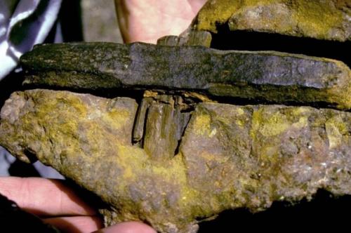 Giả thuyết và bằng chứng về nền văn minh tiên tiến thời tiền sử: Nguồn gốc nhân loại cần viết lại?.