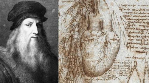 Da Vinci để lại ẩn đố về trái tim, 500 năm sau khoa học mới giải đáp được
