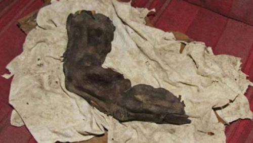 Bí ẩn ngón tay dài 38cm, người khổng lồ trong truyền thuyết là có thật