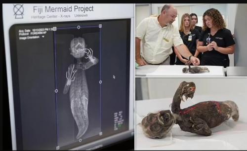 Bí ẩn chưa có lời giải về người cá Fiji