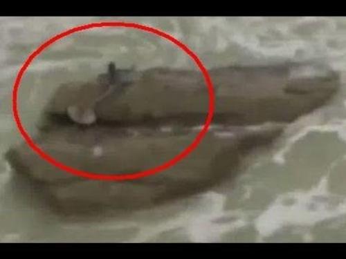 Người cá có tồn tại không? Chàng trai ghi lại được tiếng hát và hình ảnh lạ ở biển khơi