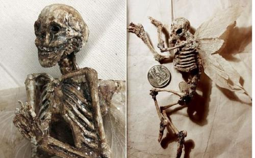 Bí ẩn về hài cốt những nàng tiên, người sói được tìm thấy trong tầng hầm căn nhà cũ