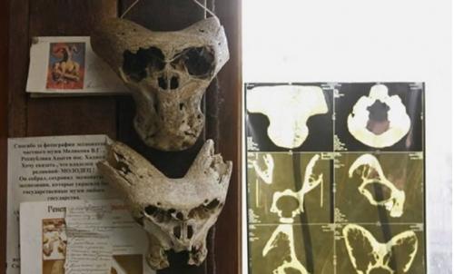 Chiếc rương chứa 