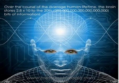 Bộ não của chúng ta là một cỗ máy ba chiều tồn tại trong một vũ trụ ba chiều