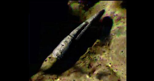 Bí mật của Apollo 20: Phát hiện tàu vũ trụ khổng lồ và cô gái ngoài hành tinh trên Mặt trăng