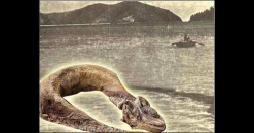 5 quái vật ám ảnh nhất trong truyền thuyết Việt Nam – có thật hay không