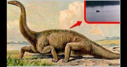 Thủy quái khổng lồ ẩn dưới hồ khiến cả vùng Trung Quốc khiếp sợ