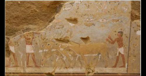 Bí ẩn mộ mê cung 4.300 năm tuổi của nữ tư tế Ai Cập cổ đại