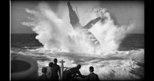 Thuỷ quái khổng lồ đánh chìm tàu ngầm Đức UB-85