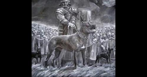 6 đội quân động vật có 