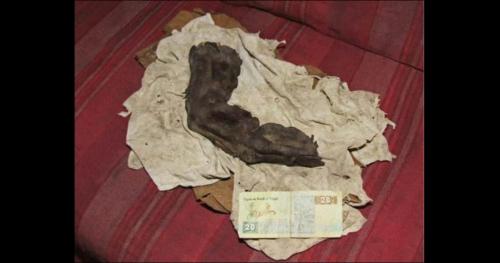 Bí ẩn ngón tay dài 38cm - người khổng lồ trong truyền thuyết là có thật