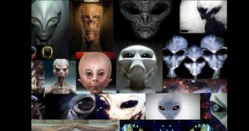 Top 10 chủng loài ngoài hành tinh đã từng ghé thăm Trái Đất