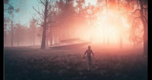 Người ngoài hành tinh Grey: Chuyên gia bắt cóc, mục đích tới Trái Đất chưa rõ ràng