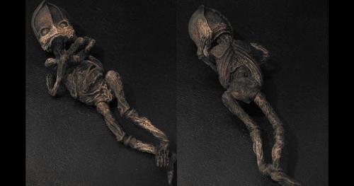 Người ngoài hành tinh ướp xác được phát hiện ở Nga, đang được nghiên cứu