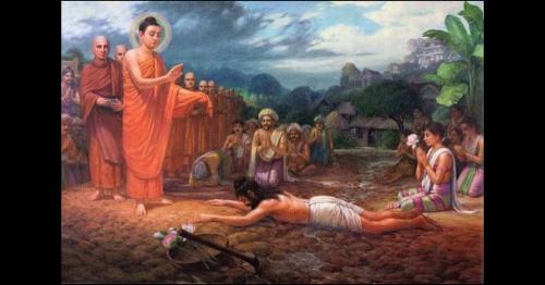 Nghiệp lực từ đâu sinh ra và chúng sinh trả nghiệp tiền kiếp như thế nào