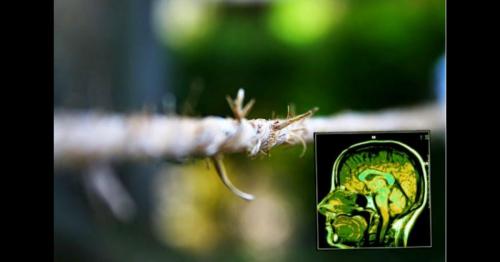 Ý thức cá nhân tương tác với các ý thức khác trong vũ trụ