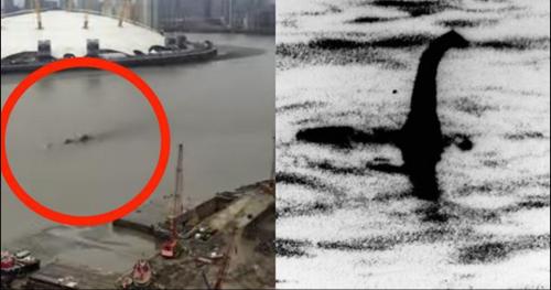 Những sinh vật huyền thoại từng xuất hiện và bị ghi hình lại trên thế giới