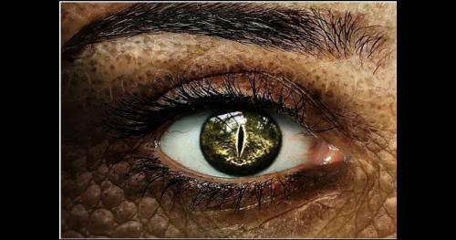 5 dấu hiệu phát hiện người ngoài hành tinh Bò sát đội lốt con người